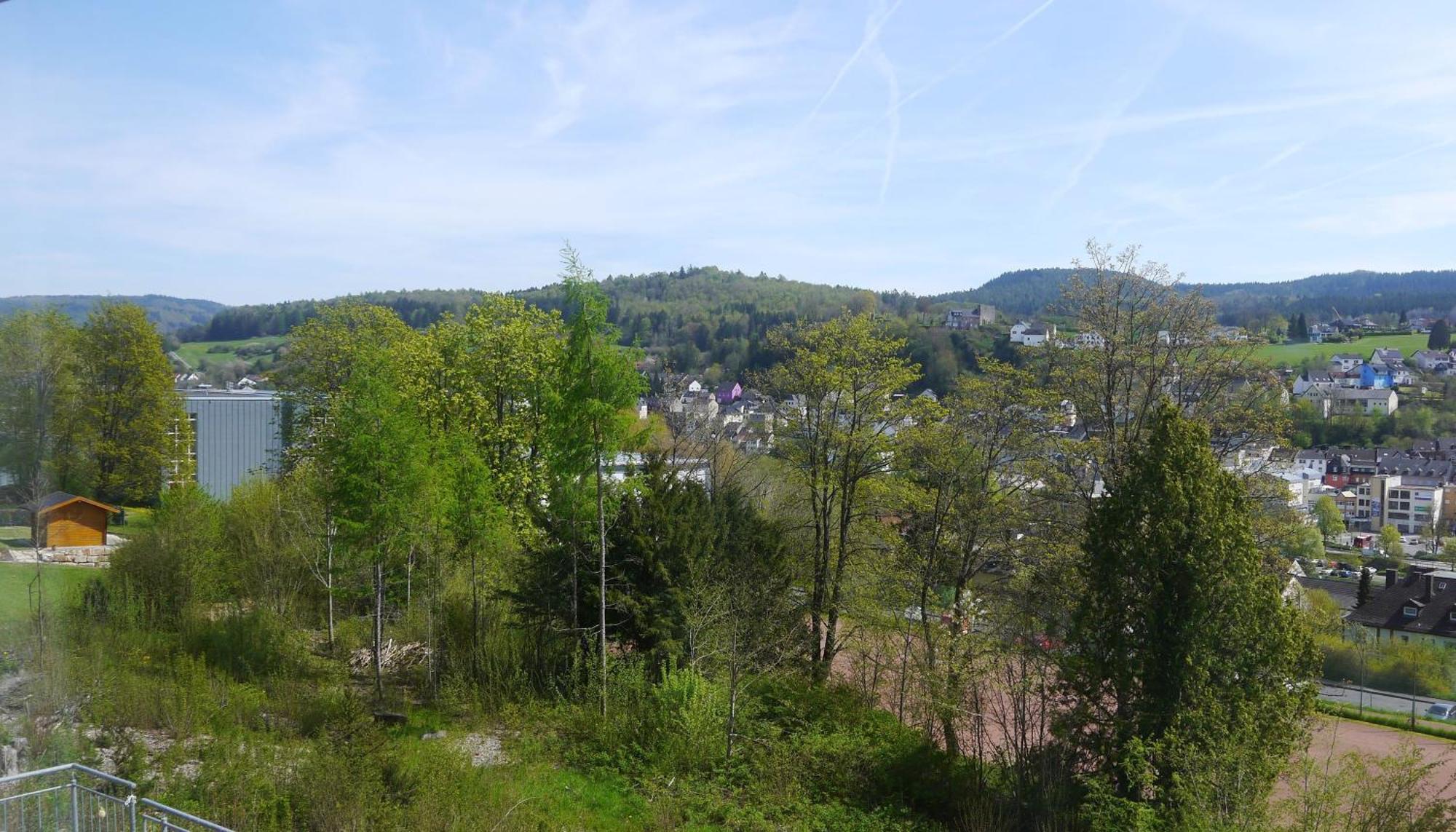 Vulkaneifel-Ferienwohnungen Am Felsenpfad 盖罗尔施泰因 外观 照片